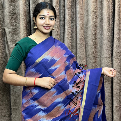 Bharatanatyam Dance Practice Saree - I Blue D Sandal Mixed Ikkat Border image 0