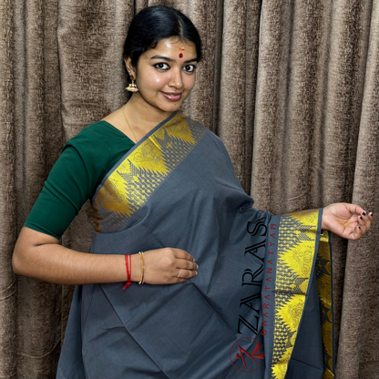 Bharatanatyam Dance Practice Saree - Grey Gold Veena Border image 0