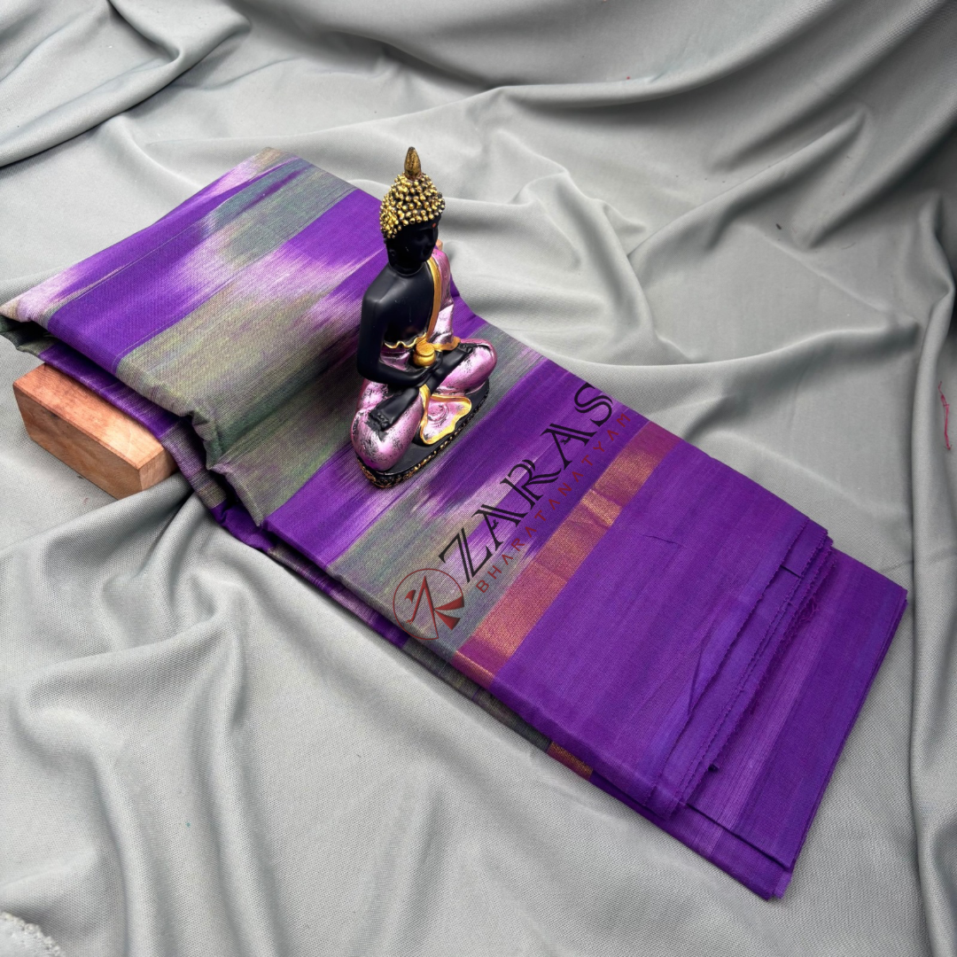 Bharatanatyam Dance Practice Saree - Purple Green Mixed Ikkat Border image 1