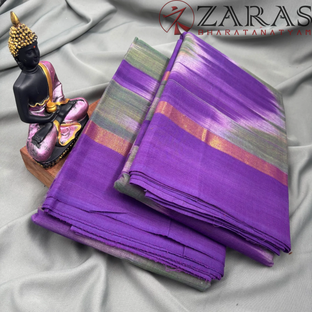 Bharatanatyam Dance Practice Saree - Purple Green Mixed Ikkat Border image 2