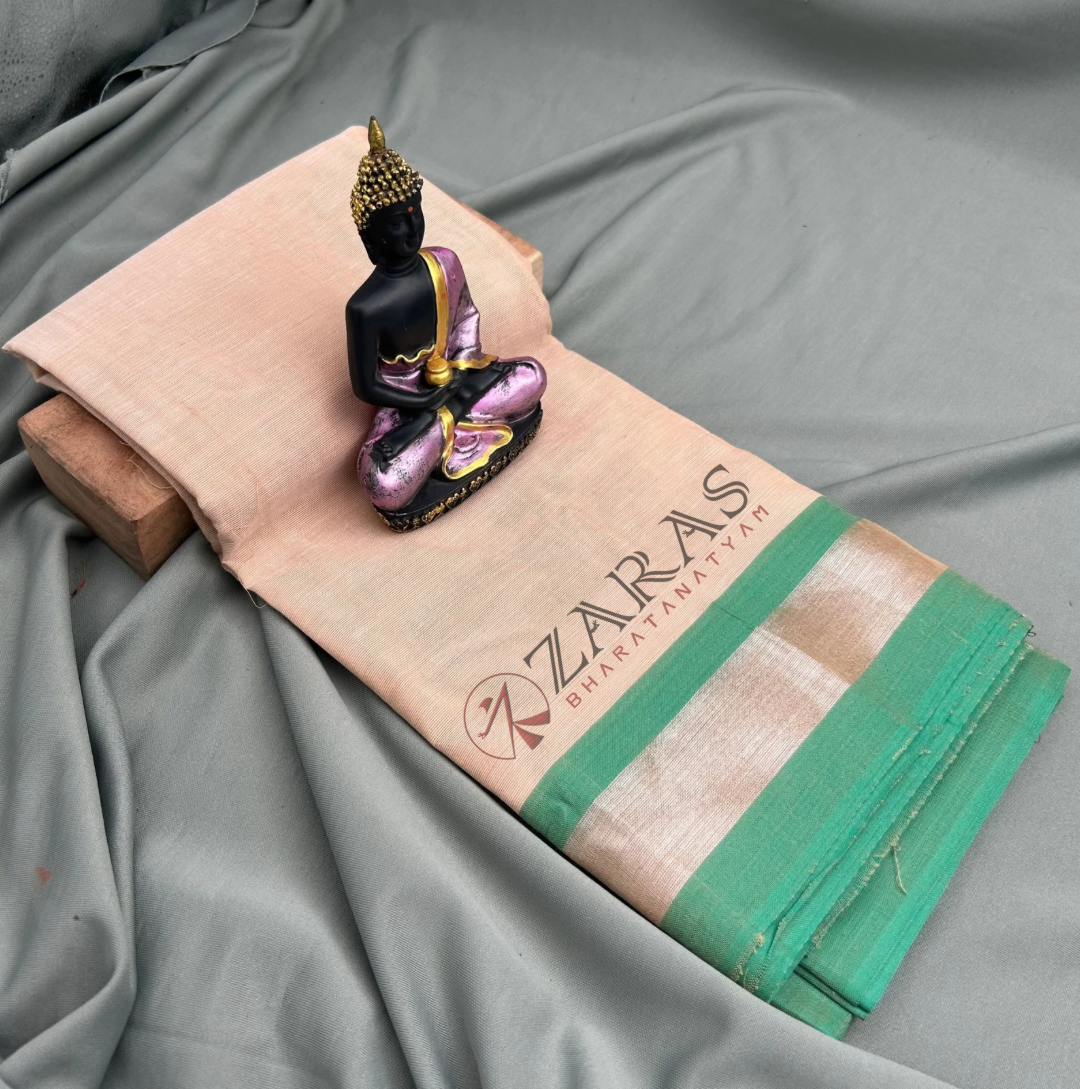 Bharatanatyam Dance Practice saree Bharatanatyam Dance Practice saree