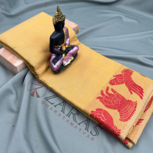 Bharatanatyam Dance Practice Saree