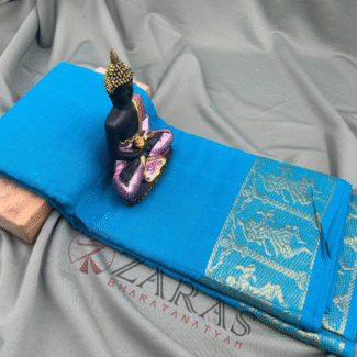 Bharatanatyam Dance Practice Saree