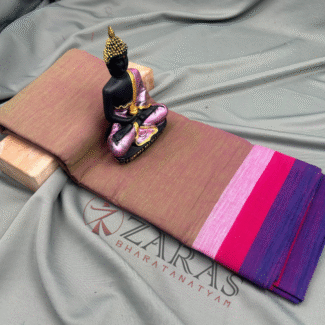 Bharatantyam Dance Practice saree