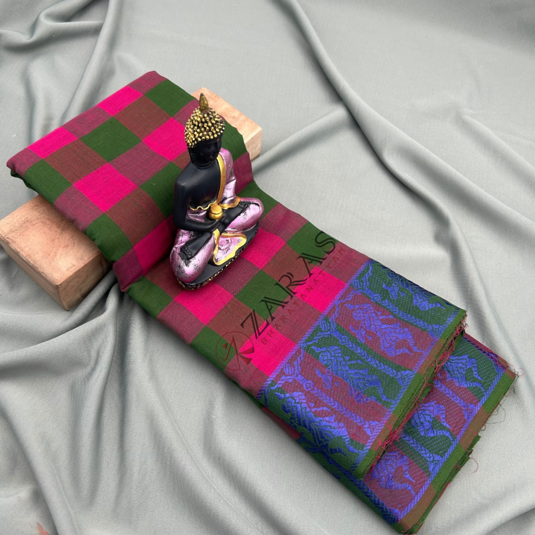 Bharatanatyam Dance Practice saree