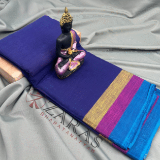 Bharatanatyam Dance Practice Saree