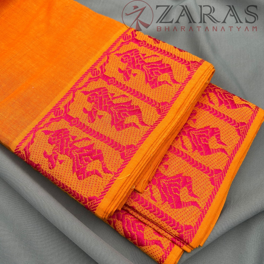 Bharatanatyam Dance Practice saree