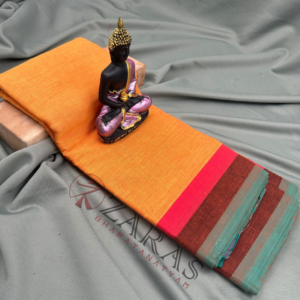 Bharatanatyam Dance Practice Saree