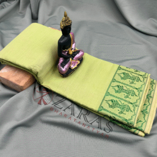Bharatanatyam Dance Practice Saree