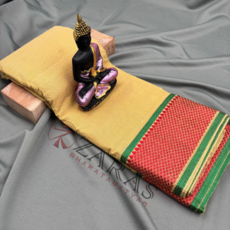 Bharatanatyam Dance Practice saree