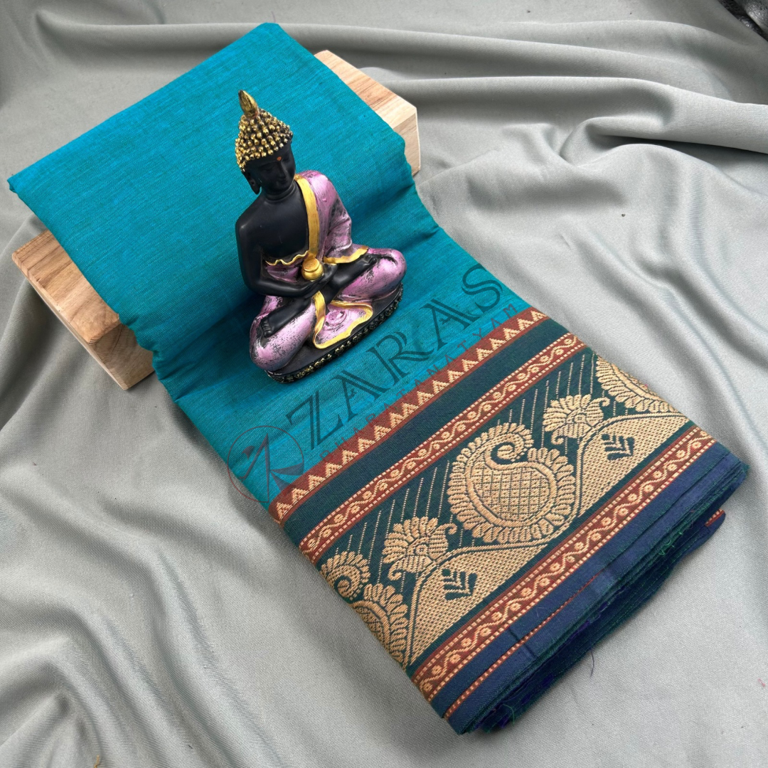 Bharatanatyam Dance Practice saree