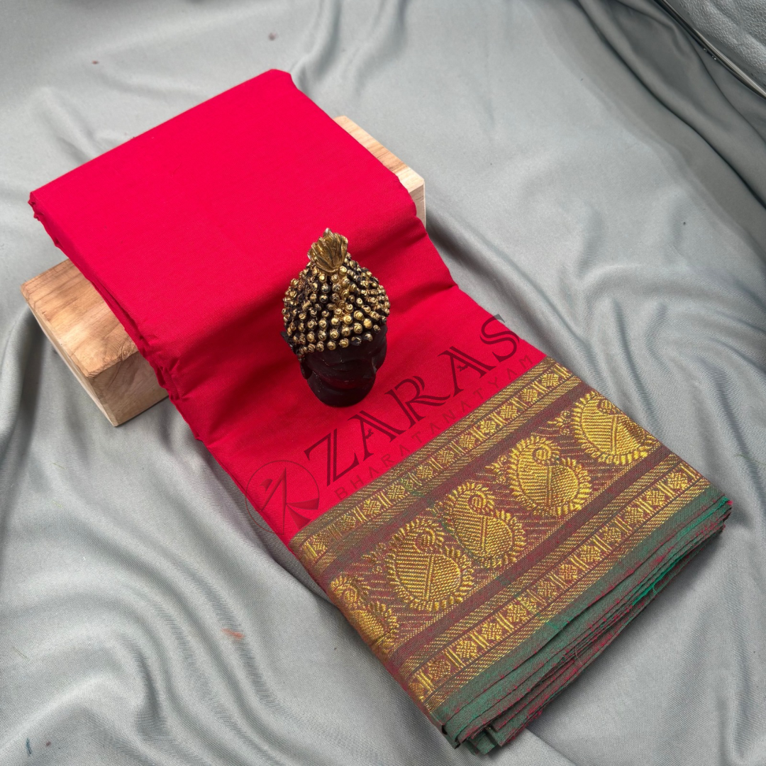 Bharatanatyam Dance Practice Saree