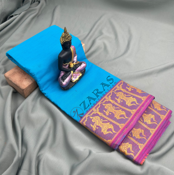 Bharatanatyam Dance Practice saree