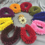 Bharatanatyam dance cloth flower