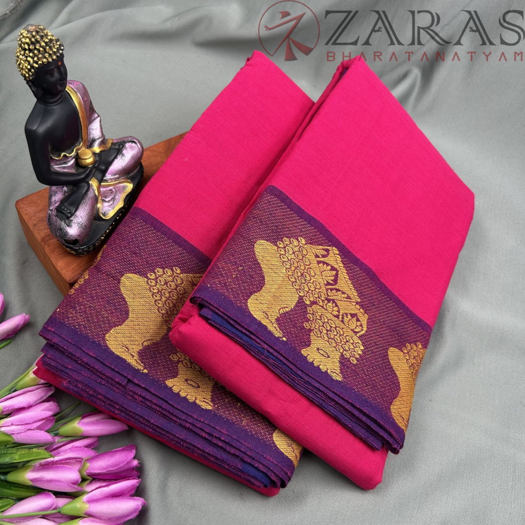Bharatanatyam Dance Practice Saree