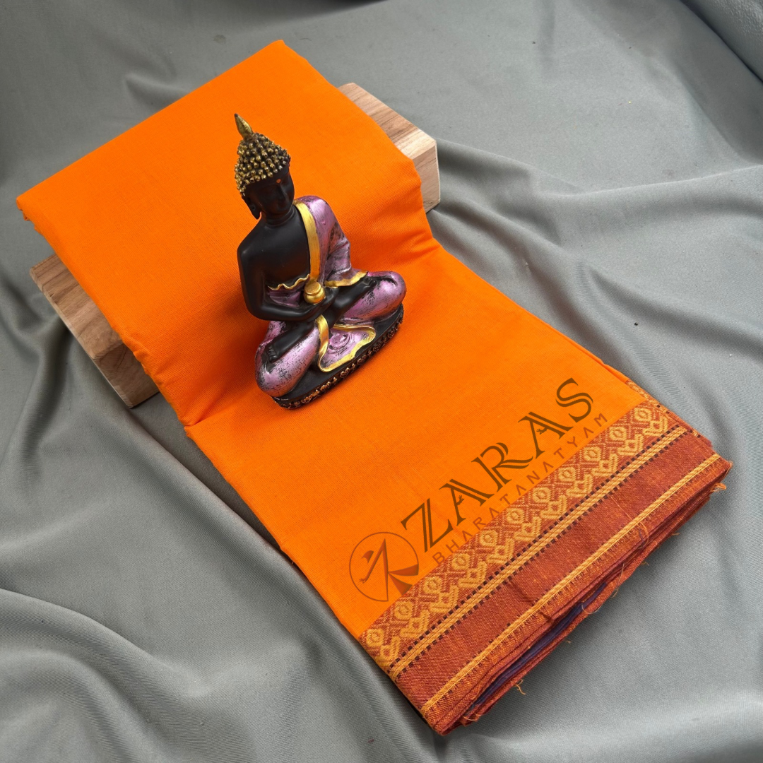 Bharatanatyam Dance Practice saree