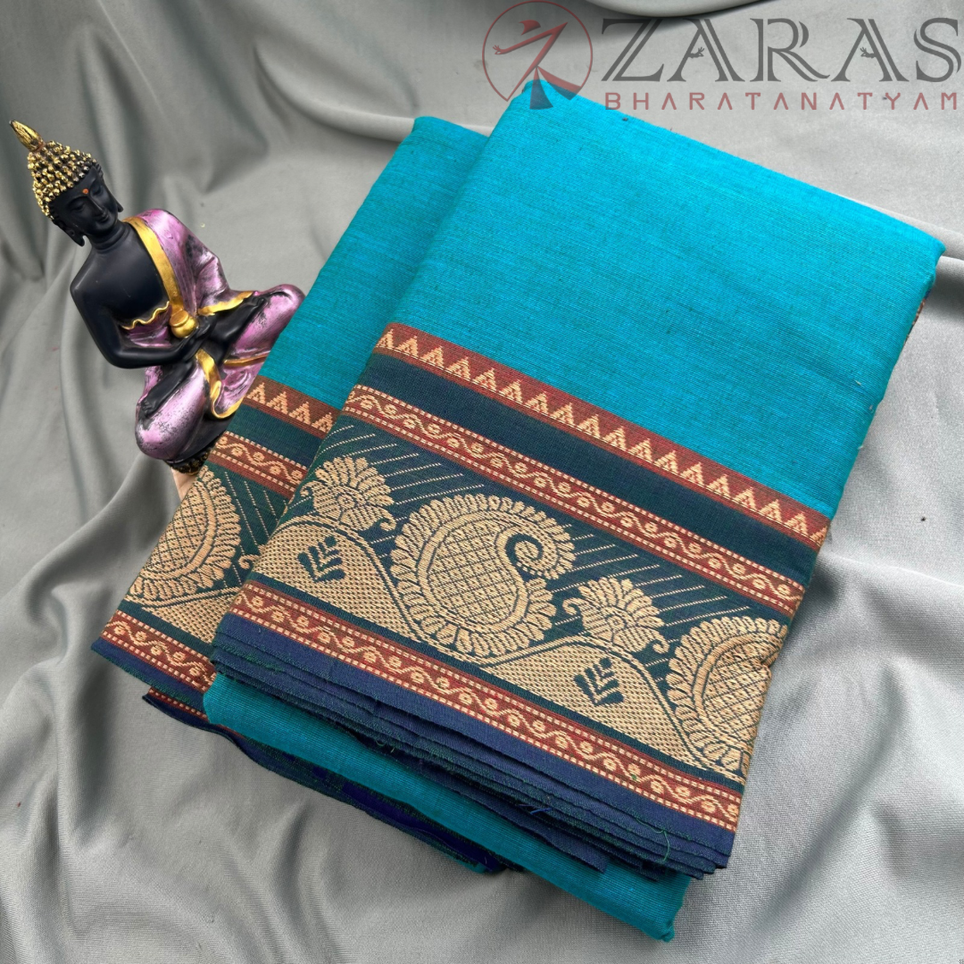 Bharatanatyam Dance Practice saree