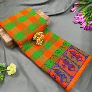 Bharatanatyam Dance Practice saree