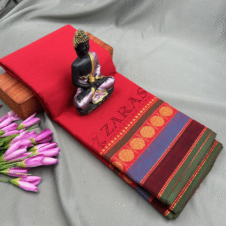 Bharatanatyam Dance Practice Saree
