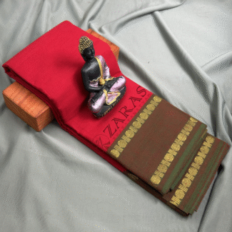 Bharatanatyam Dance Practice saree