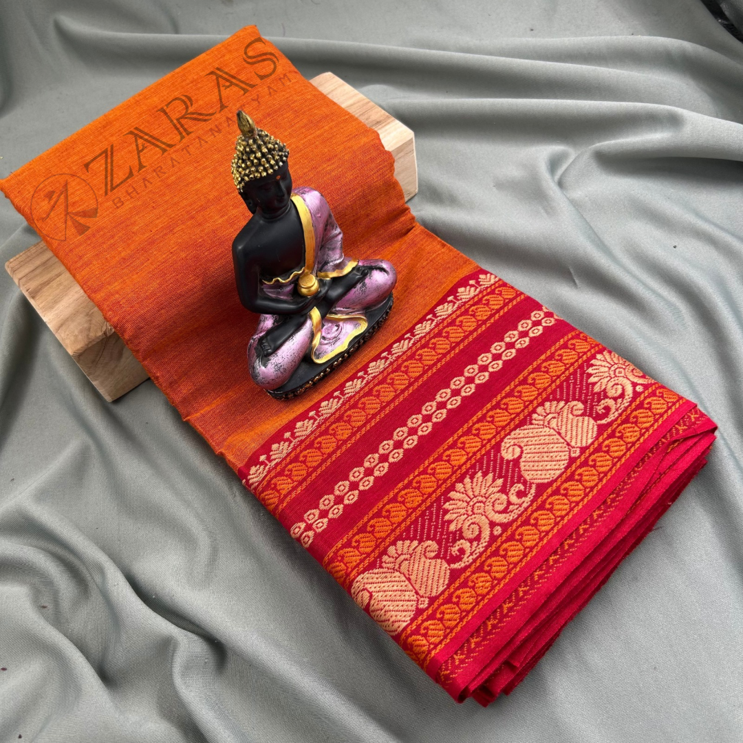 Bharatanatyam Dance Practice saree