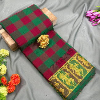 Bharatanatyam Dance Practice saree