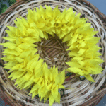 Bharatanatyam dance cloth flower