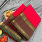 Bharatanatyam Dance Practice saree