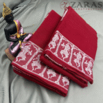 Bharatanatyam Dance Practice saree