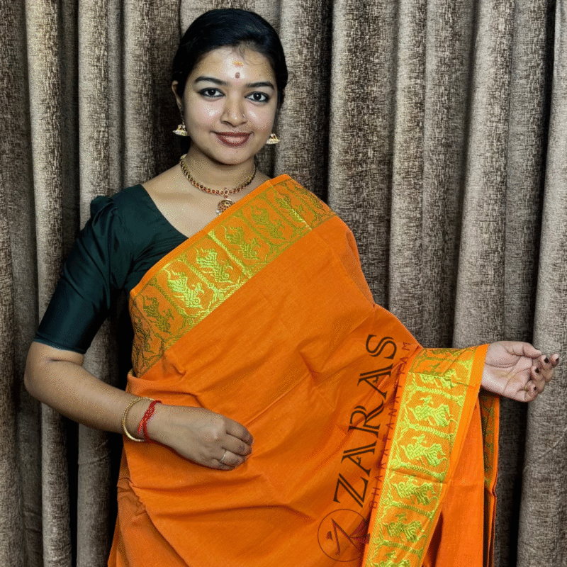 Bharatanatyam Dance Practice saree