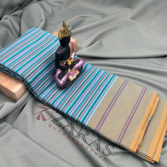 Bharatanatyam Dance Practice saree