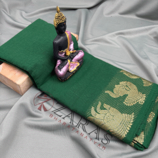 Bharatanatyam Dance Practice Saree