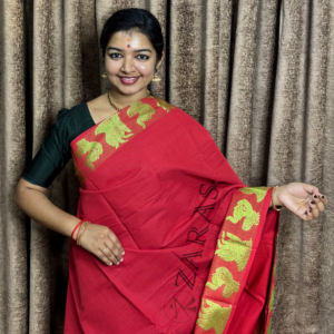 Bharatanatyam Dance Practice saree