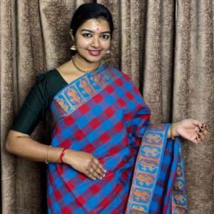 Bharatanatyam Dance Practice saree