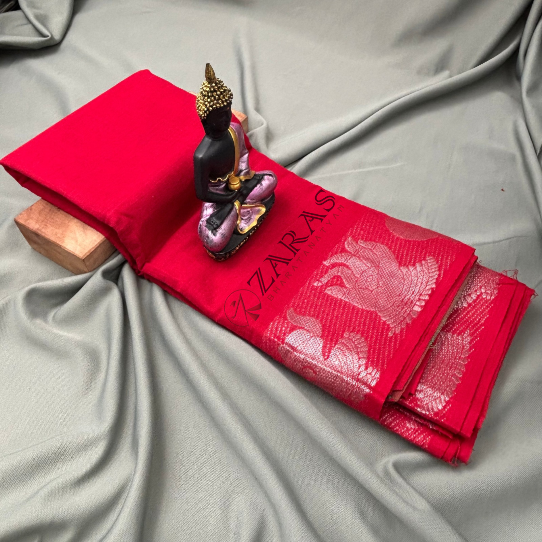 Dance Practice saree