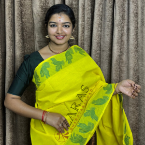 Bharatanatyam Dance Practice saree