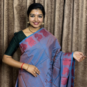 Bharatanatyam Dance Practice saree