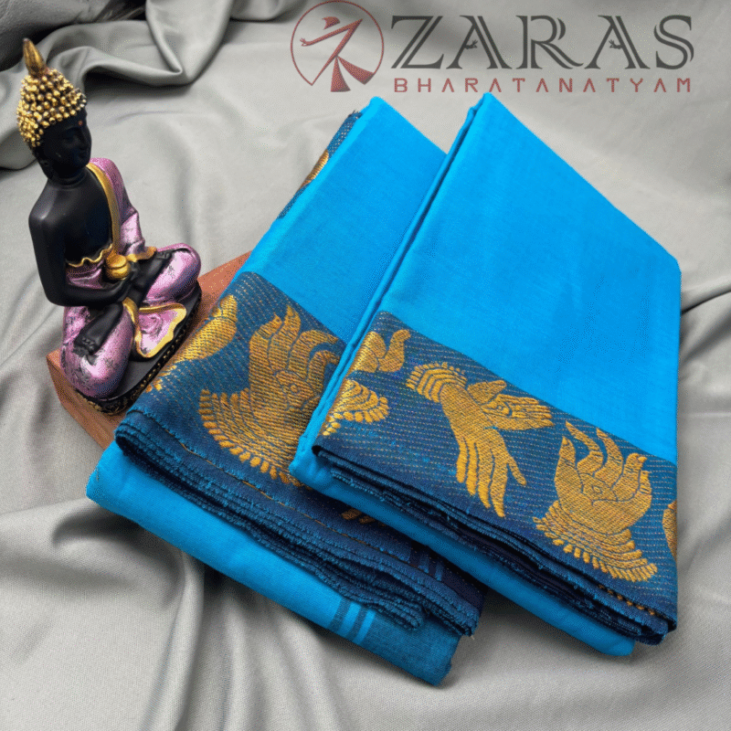 Dance Practice saree