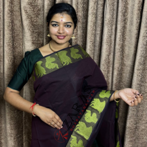 Bharatanatyam Dance Practice saree