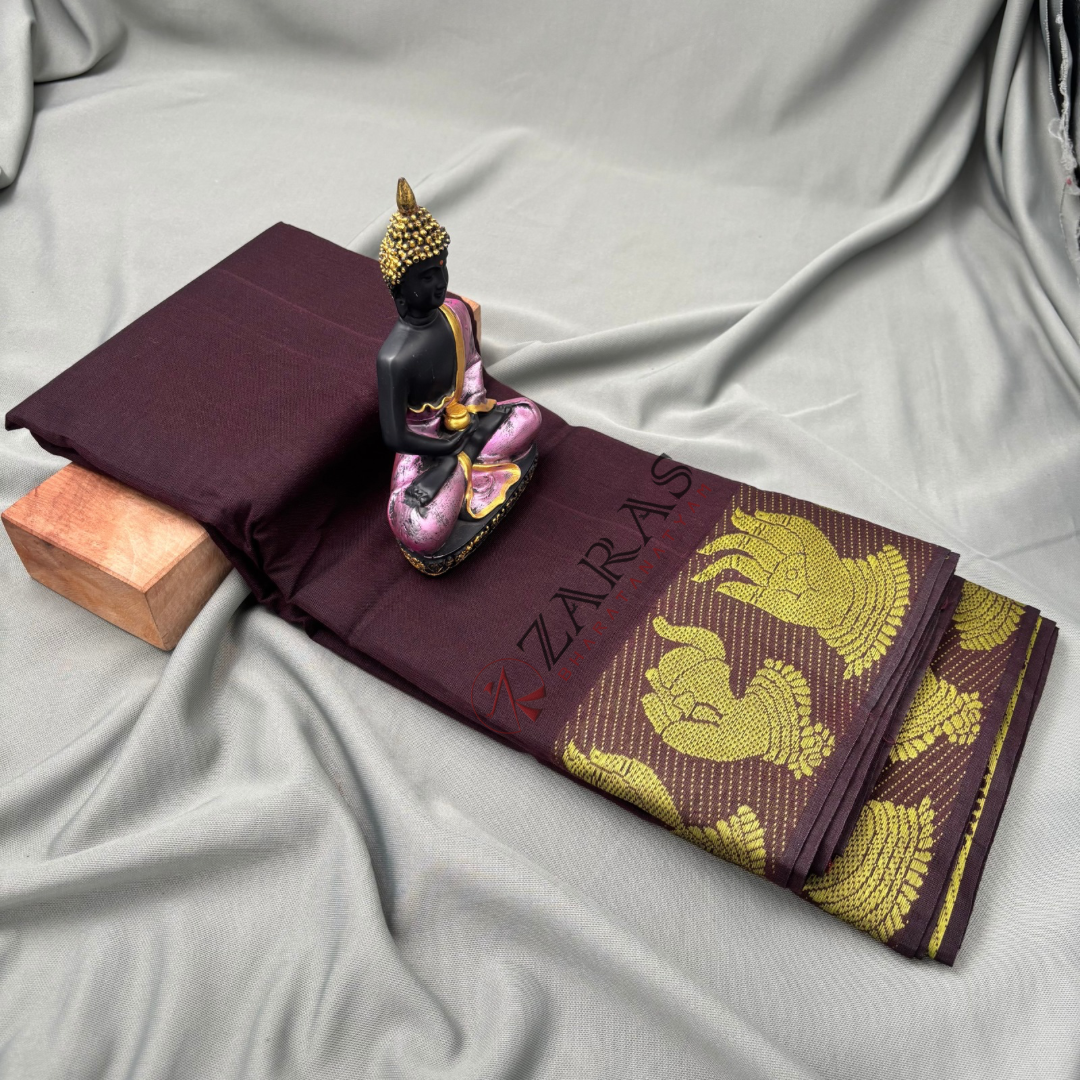 Dance Practice saree