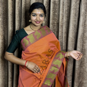 Bharatanatyam Dance Practice saree