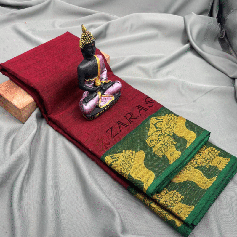 Bharatanatyam Dance Practice saree