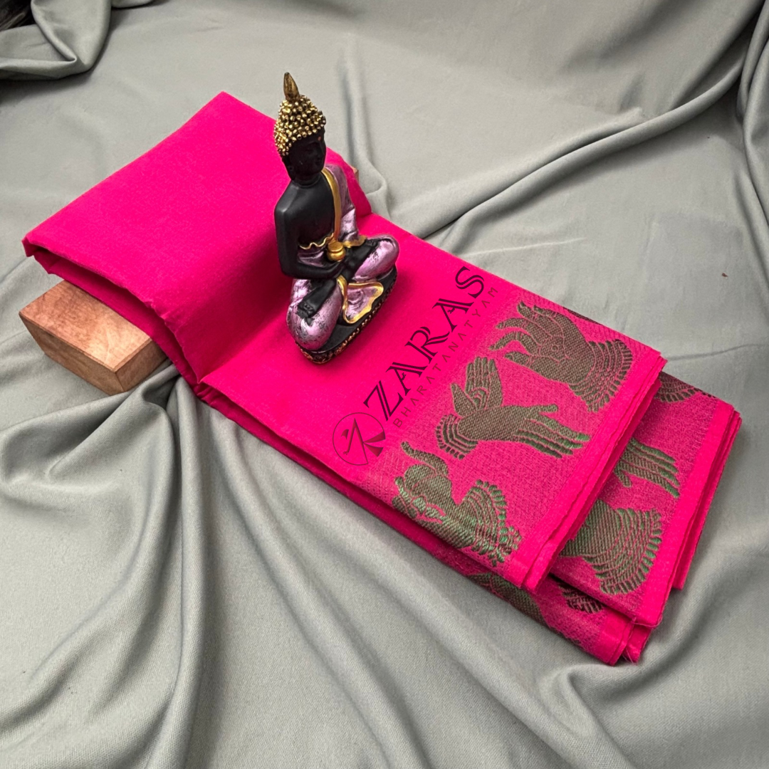 Dance Practice saree