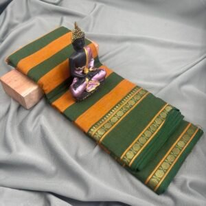 Bharatanatyam Dance Practice saree