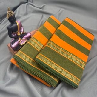 Bharatanatyam Dance Practice saree
