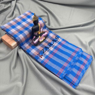 Bharatanatyam Dance Practice saree