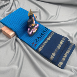 Bharatanatyam Dance Practice saree