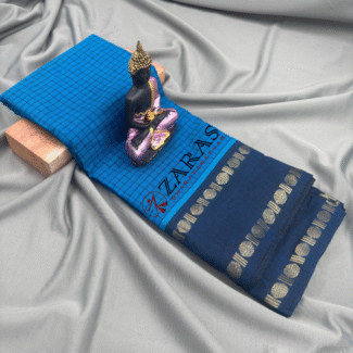Bharatanatyam Dance Practice saree
