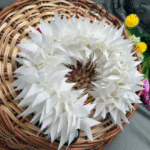 Bharatanatyam dance cloth flower