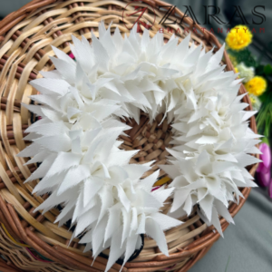 Bharatanatyam dance cloth flower
